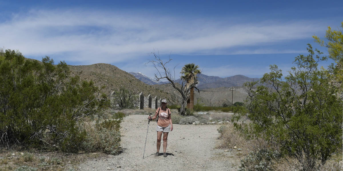 Living Desert with Liz and Nico