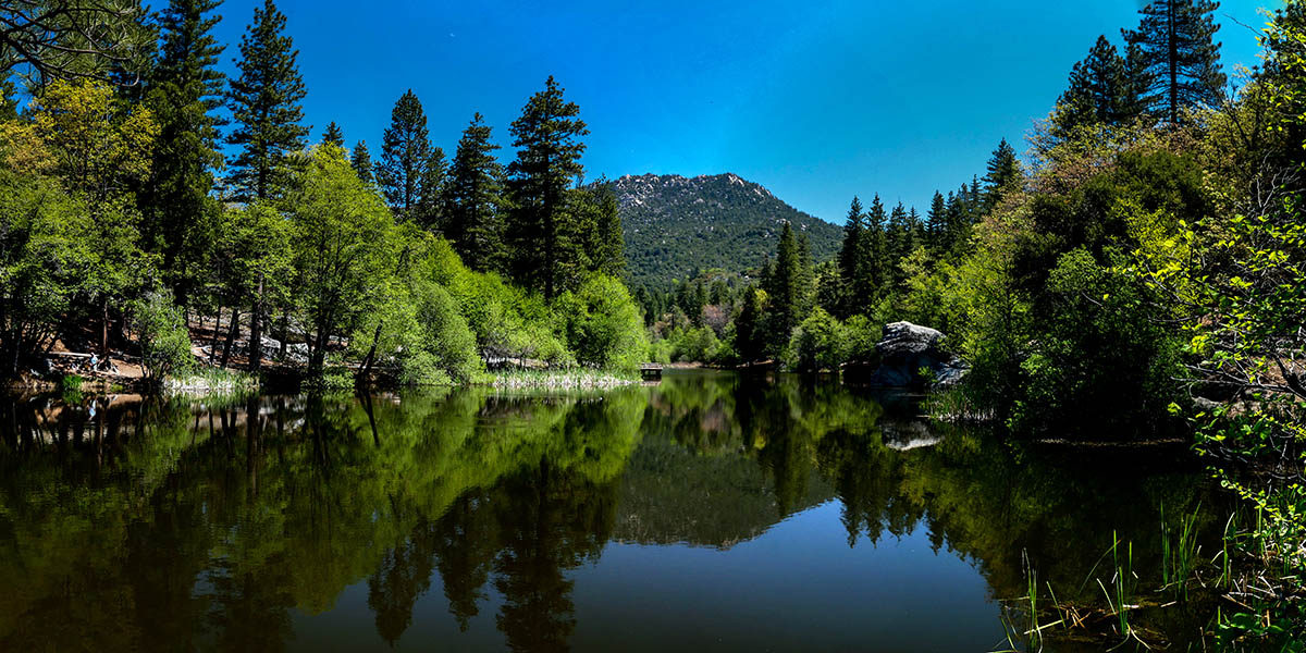 San Timoteo Canyon Sanctuary