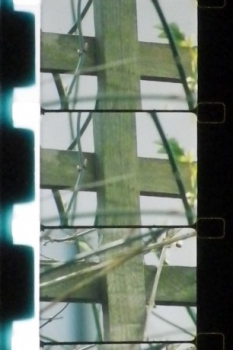 poster Matrix&nbsp;&nbsp;(1998)